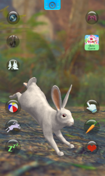 Parler le lapin