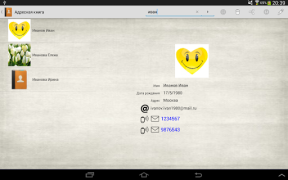 Télécharger Adresse Téléphone livre Outils pour Android Capture d'écran 6