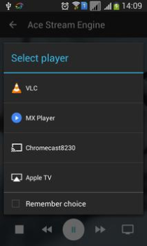 Télécharger Ace Stream Media Lecteurs et éditeurs de vidéos pour Android Capture d'écran 7