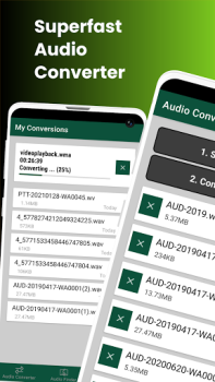 Audio Converter To Any Format