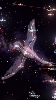 Télécharger Star Tracker - Mobile Sky Map Éducation pour Android Capture d'écran 2