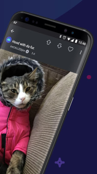 Imgur: Funny Memes & GIF Maker