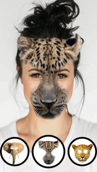 Télécharger Caméra Visage Animal Divertissement pour Android Capture d'écran 3