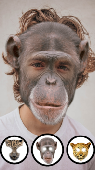 Télécharger Caméra Visage Animal Divertissement pour Android Capture d'écran 4