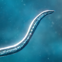 Télécharger  Bionix: Spore Evolution Sim 3D