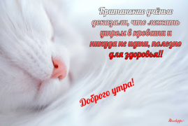 Télécharger Прикольные с добрым утром Divertissement pour Android Capture d'écran 5