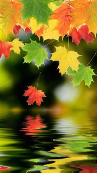 Télécharger HD Wallpapers Personnalisation pour Android Capture d'écran 2