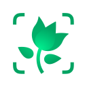 Télécharger  PictureThis Plante Identifier