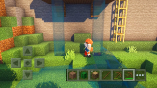 Télécharger Craft World - Master Block 3D Simulateurs pour Android Capture d'écran 4