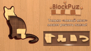 Télécharger BlockPuz: Woody Block Puzzle Jeux de réflexion pour Android Capture d'écran 6