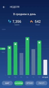 Télécharger Podomètre - Compteur de Pas Santé et forme physique pour Android Capture d'écran 2